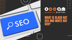 what is Black Hat SEO and White Hat SEO?