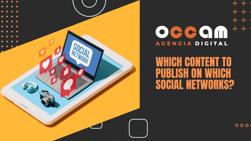 which content to publish on which social networks?