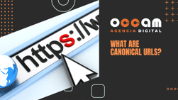 what are canonical URLs?