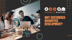 Why customised backoffice development?