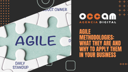 Agile methodologies: what they are and why to apply them in your business
