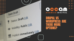 Drupal vs WordPress: are there more options?