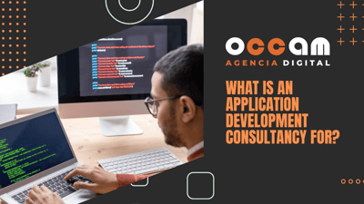 What is an application development consultancy for?